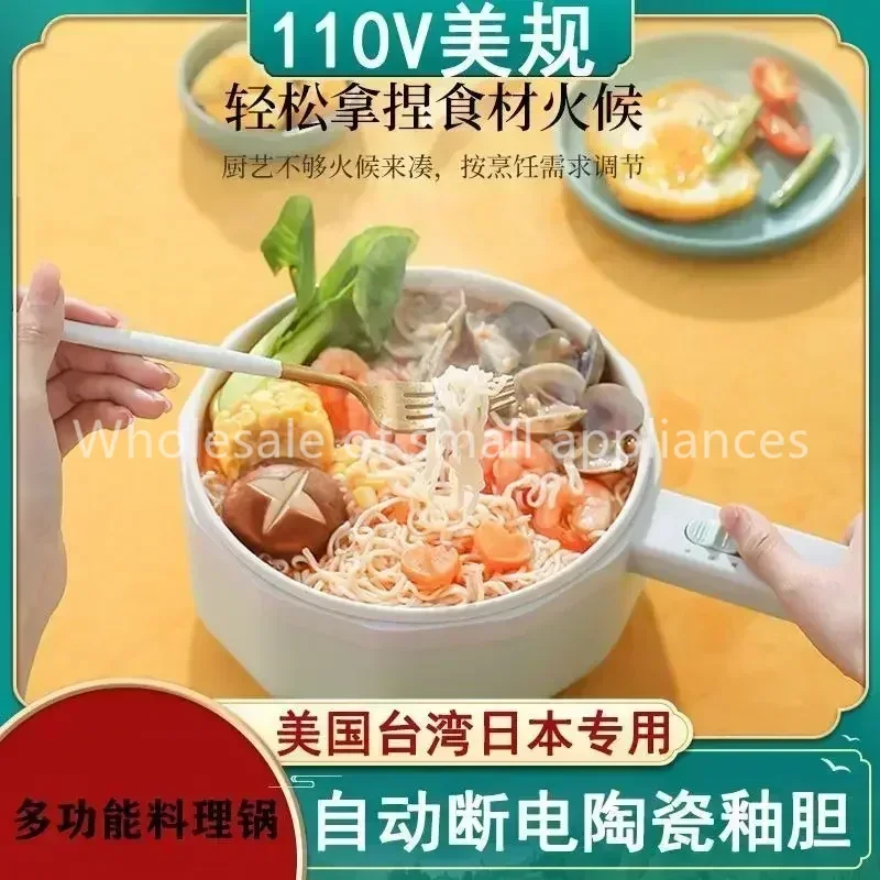 110V 전압으로 사용 가능한 수출용 전기 냄비, 전기 - Hot Pot Electric 리뷰 및 가격