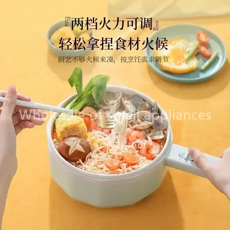 110V 전압으로 사용 가능한 수출용 전기 냄비, 전기 - Hot Pot Electric 리뷰 및 가격